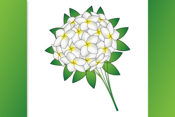 Creative Floral Hand Drawn Flower Design Graphics and Illustrations Review