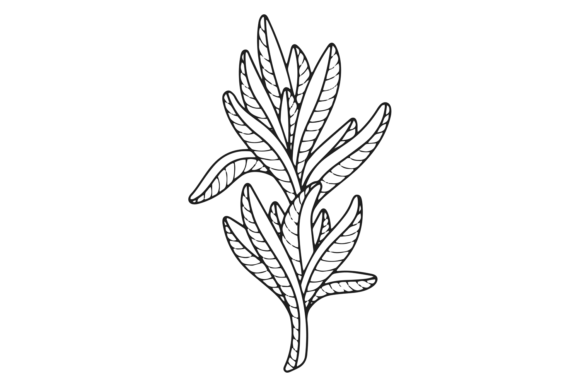 Elegant Botanical Art. Asian Floral Line Graphics and Illustrations