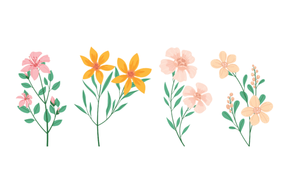 Floral Nature Flower Graphics and Illustrations Review