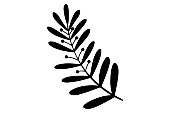 Natural Floral Element. Decorative Black Review